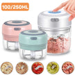 100/250mL Mini Electric Garlic Chopper USB Charging Ginger Masher Machine Sturdy Durable Chili Vegetable Crusher Kitchen Tools