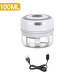 100/250mL Mini Electric Garlic Chopper USB Charging Ginger Masher Machine Sturdy Durable Chili Vegetable Crusher Kitchen Tools